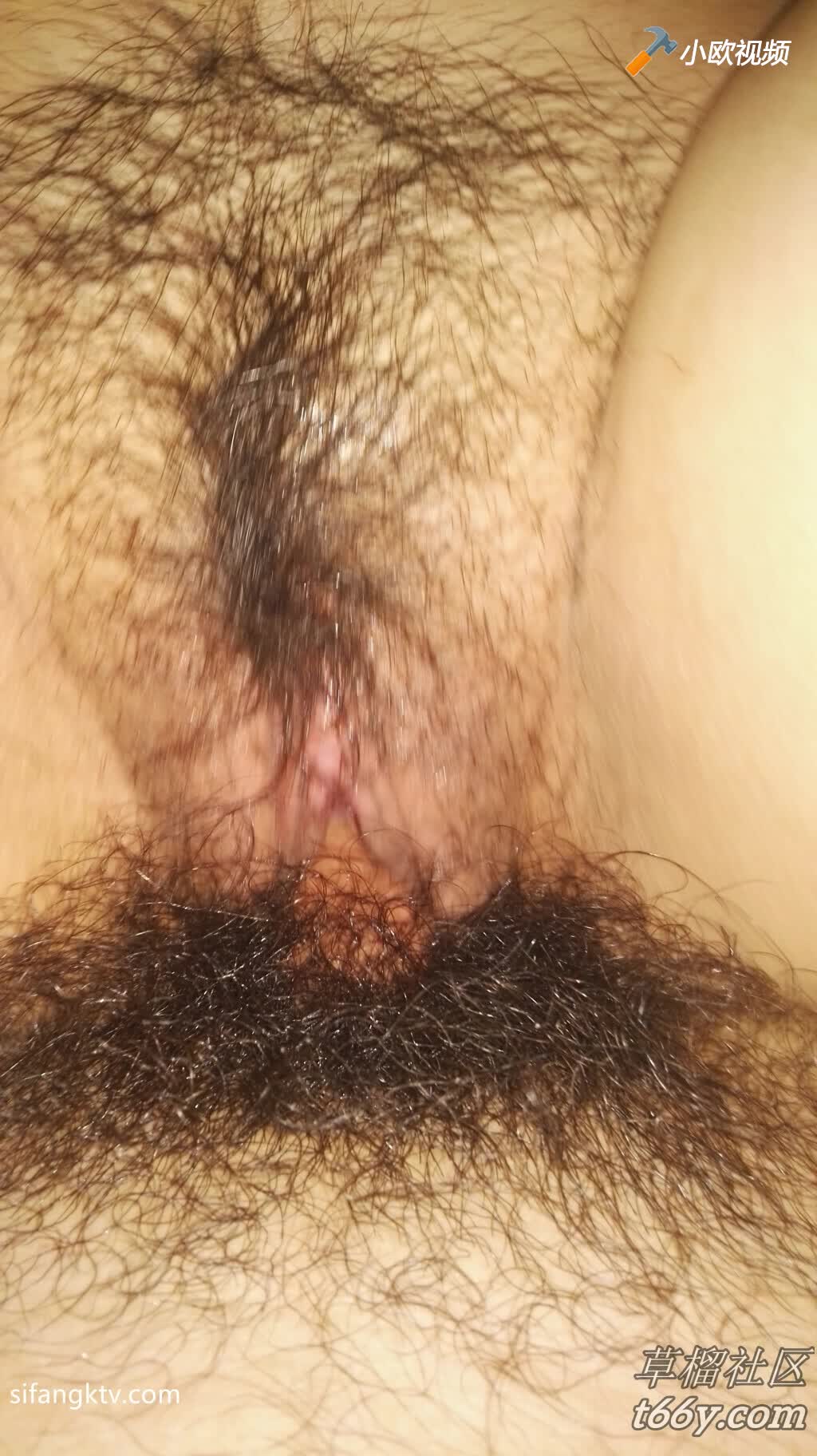 www.v2ba.org
