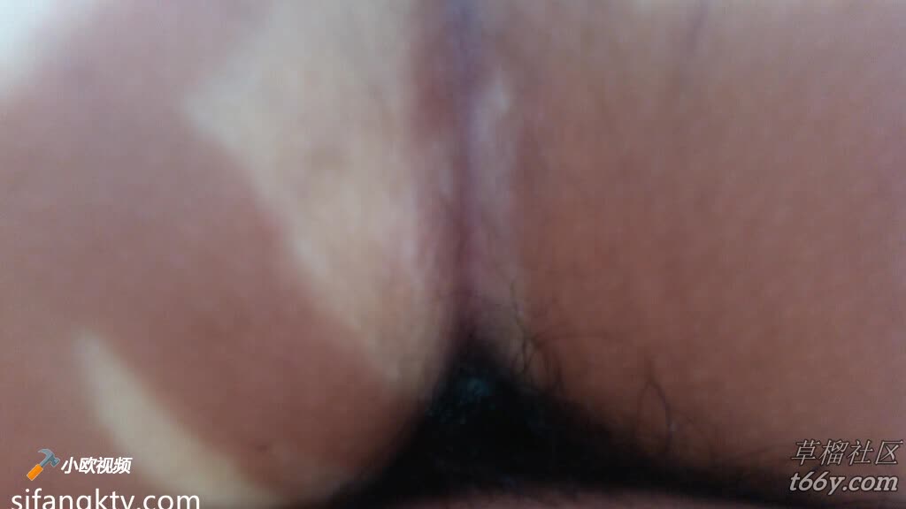 www.v2ba.org